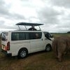 safari-car-park-driver-guide-sumpton