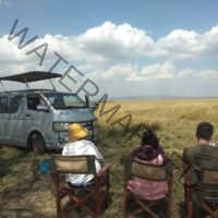 Kenya Car Hire with Driver with Safari Tour Van