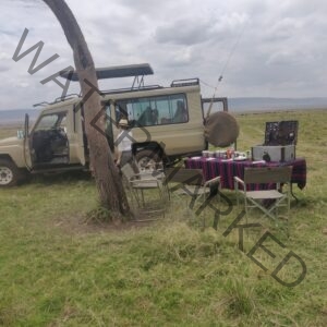 masai mara safari 4x4 jeep car hire