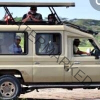 masai mara safari 4x4 car hire