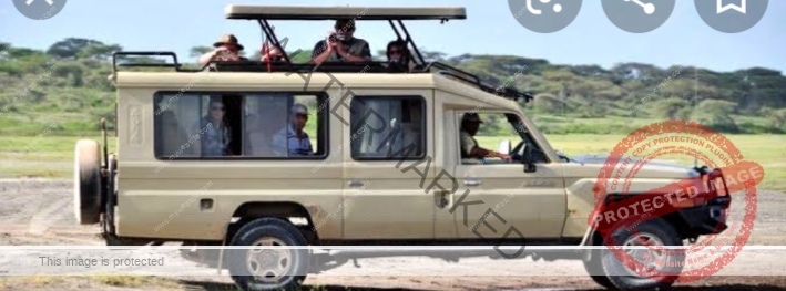 masai mara safari 4x4 car hire