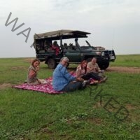 Kenya car hire for Land Cruiser Safari for Hire to Masai Mara Kenya: Book a Safari Vehicle for Masai Mara