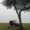4×4 safari car hire masai mara