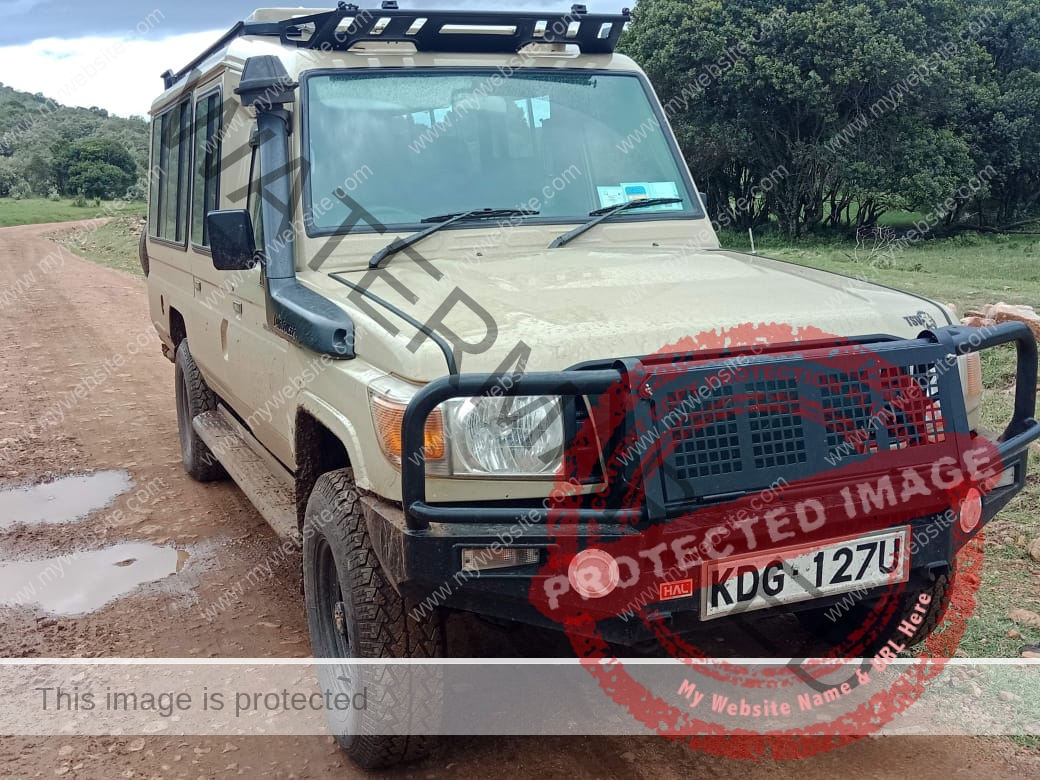 Book a Safari Vehicle for Masai Mara